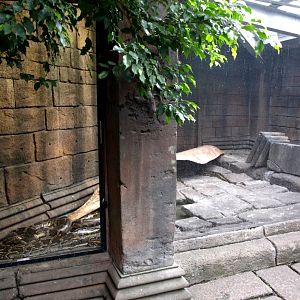 Randers Tropical Zoo - Asian Snake Temple