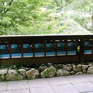 New signs in walk-through aviary