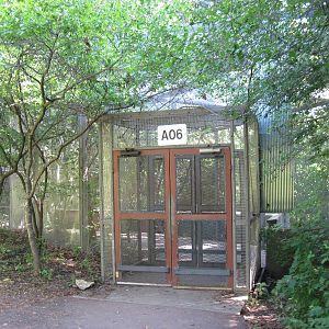 Australia-Tree Kangaroo Enclosure