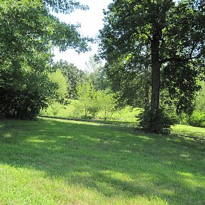 Australia-Kangaroo Yard