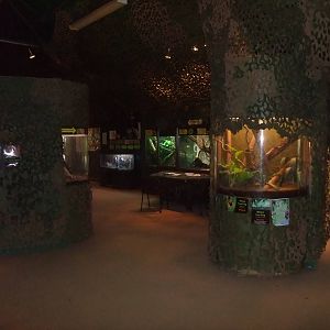 Jungle Floor at the Palms: Final Visit, 08/08/10