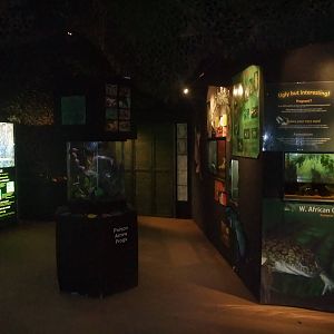 Jungle Floor at the Palms: Final Visit, 08/08/10