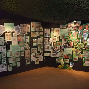 Historical Display at the Palms: Final Visit, 08/08/10