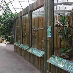 Macaw Aviary at the Palms: Final Visit, 08/08/10