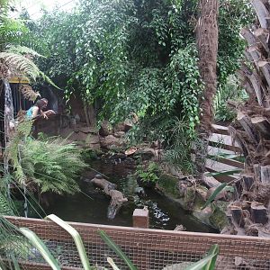 Terrapin exhibit at the Palms: Final Visit, 08/08/10