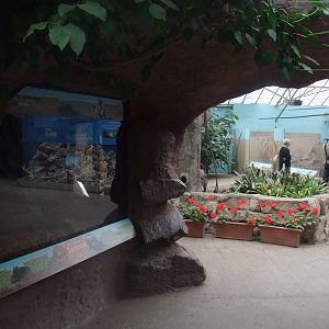 General view at the Palms: Final Visit, 08/08/10