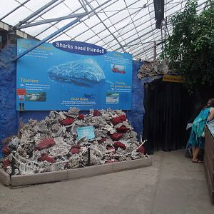 Marine Conservation display at the Palms: Final Visit, 08/08/10