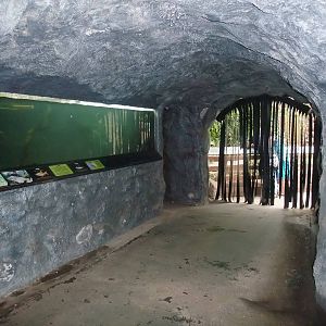 Tunnel of Underwater Life at the Palms: Final Visit, 08/08/10