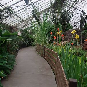 General View at the Palms: Final Visit, 08/08/10