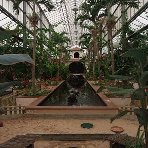 Central Area at the Palms: Final Visit, 08/08/10