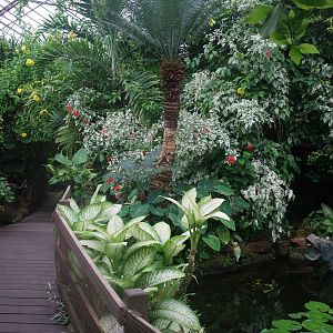 Tropical House at the Palms: Final Visit, 08/08/10