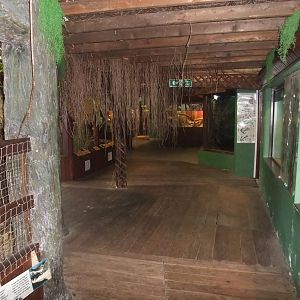 Zoo Room at the Palms: Final Visit, 08/08/10