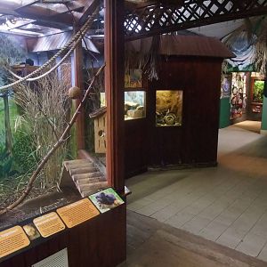 Zoo Room at the Palms: Final Visit, 08/08/10