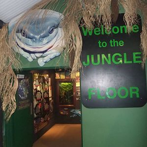 Jungle Floor Entrance at the Palms: Final Visit, 08/08/10