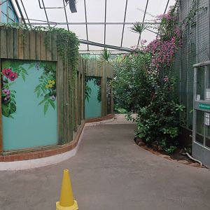 Former Toco Toucan Exhibit at the Palms: Final Visit, 08/08/10