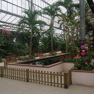 Central Area at the Palms: Final Visit, 08/08/10