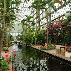 Central Area at the Palms: Final Visit, 08/08/10