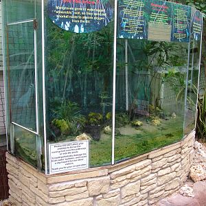 Mangrove Exhibit at the Palms: Final Visit, 08/08/10