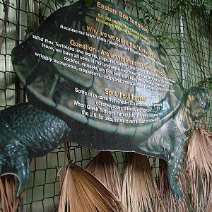 Signage example at the Palms: Final Visit, 08/08/10