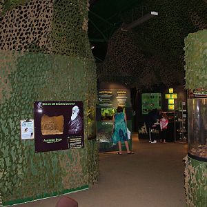 Jungle Floor Exhibit at the Palms: Final Visit, 08/08/10