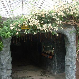 Tunnel of Underwater Life at the Palms: Final Visit, 08/08/10