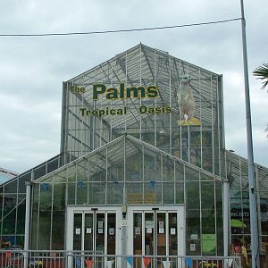 Main Entrance at the Palms: Final Visit, 08/08/10