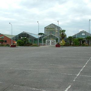 The Main Building at the Palms: Final Visit, 08/08/10