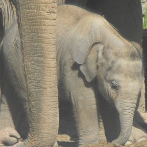 Nayan 22nd August 2010