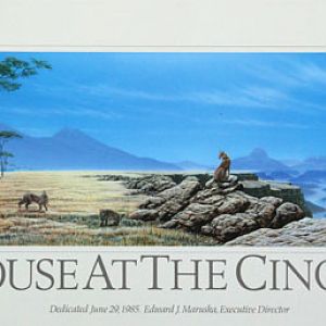 Cat House Poster