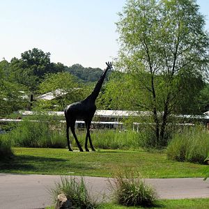 Africa-Giraffe Statue