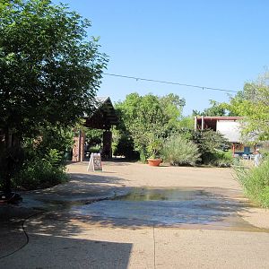 Africa-Nanyuki Market