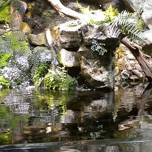 Maryland: Mountains to the Sea