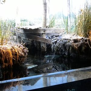 Maryland: Mountains to the Sea