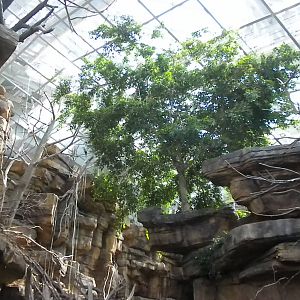 Animal Planet Australia: Wild Extremes