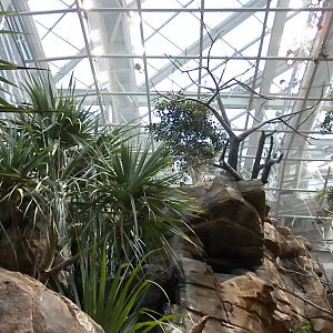 Animal Planet Australia: Wild Extremes