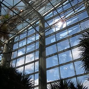 Animal Planet Australia: Wild Extremes