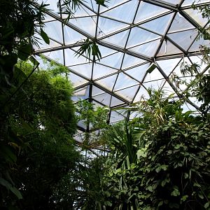 Randers Tropical Zoo - Asia Dome