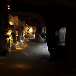 Randers Tropical Zoo - Asia Dome (Aquarium)