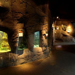 Randers Tropical Zoo - Asia Dome (Aquarium)