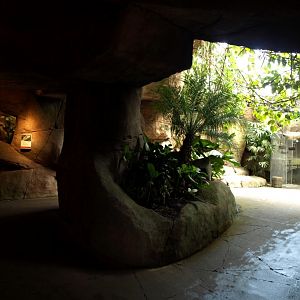 Randers Tropical Zoo - Asia Dome (Aquarium)