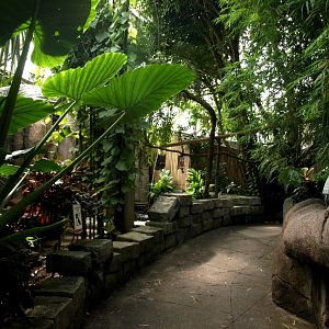 Randers Tropical Zoo - Asia Dome