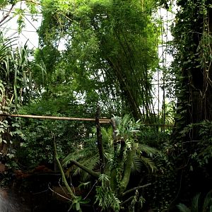 Randers Tropical Zoo - Asia Dome