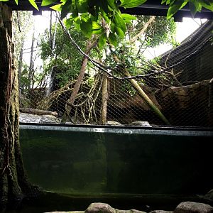 Randers Tropical Zoo - Asia Dome (Gibbon/otter exhibit)