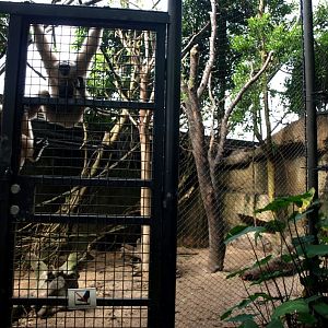 Randers Tropical Zoo - Asia Dome (Gibbon/otter exhibit)