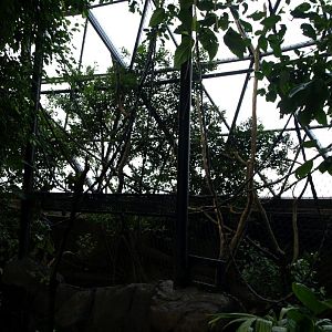 Randers Tropical Zoo - Asia Dome (Gibbon/otter exhibit)