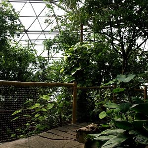 Randers Tropical Zoo - Asia Dome