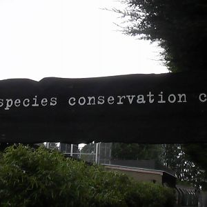 Entrance Sign - RSCC August 2010