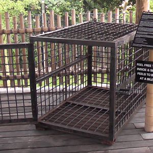 The Famous Bear Bile Cage! - RSCC August 2010