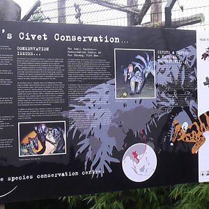 Civet Conservation Sign - RSCC August 2010