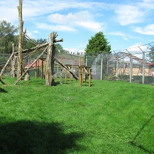 Colobus enclosure improvements